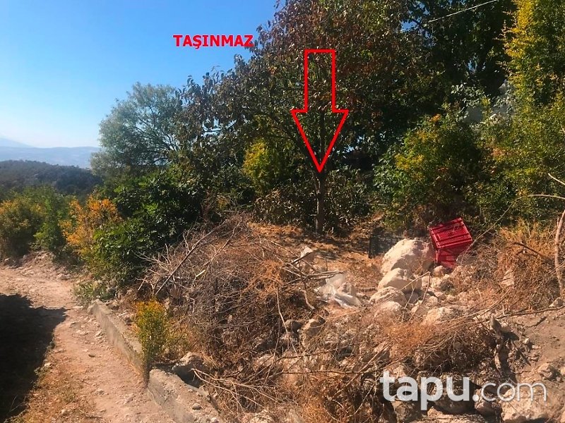 Pamukkale Eymir Mahallesi'nde Avlulu 73 m2 Müstakil Ev