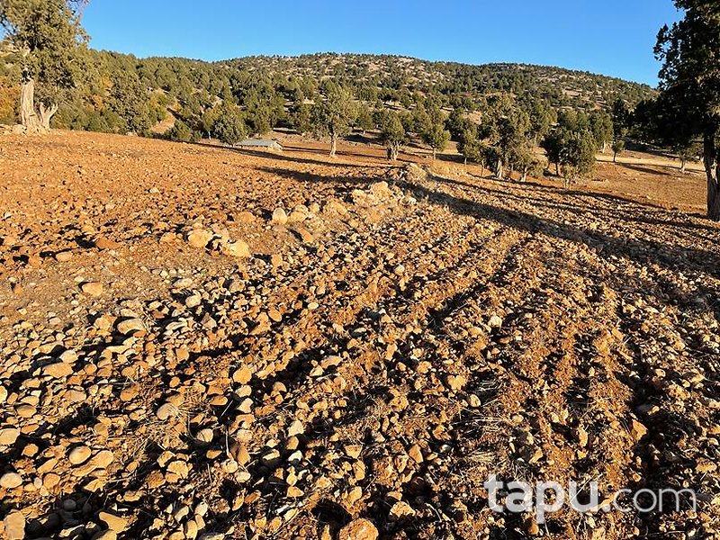 Adana Aksaağaç Mahallesi'nde 11 Dönüm Tarla