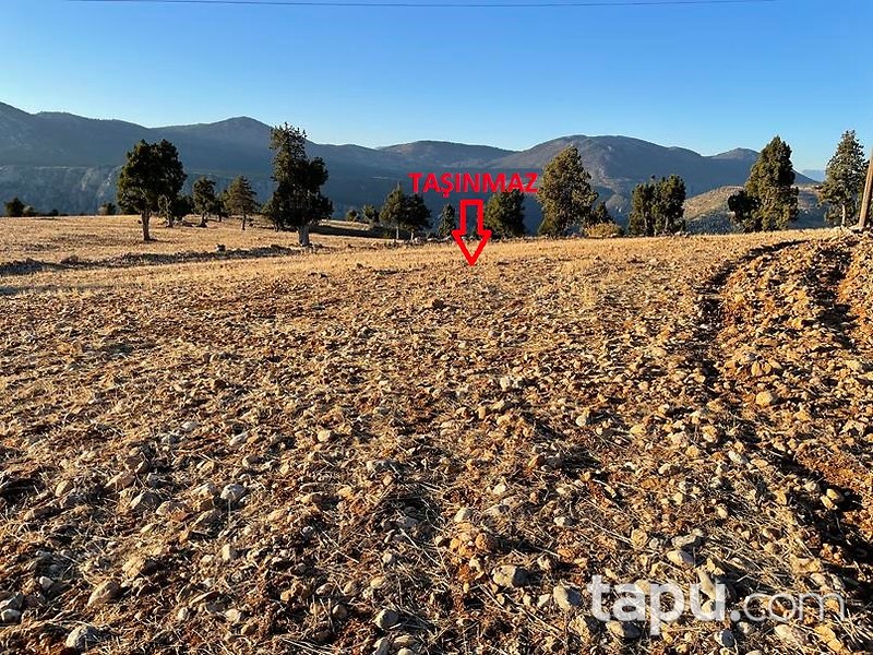 Adana Aksaağaç Mahallesi'nde 11 Dönüm Tarla