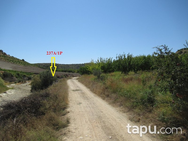 Mersin Hamam Mahallesi'nde 336 m2 Tarla