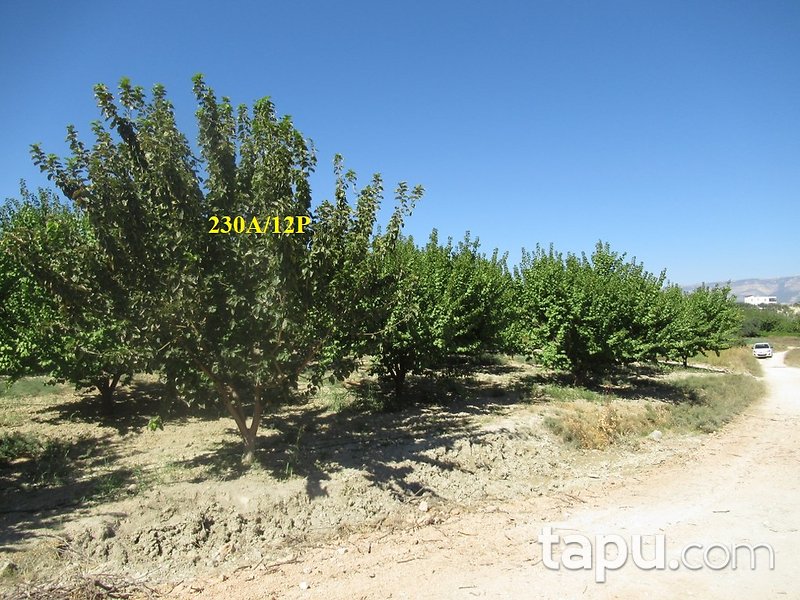 Mersin Hamam Mahallesi İskan Mevkii'nde 3 Dönüm Tarla