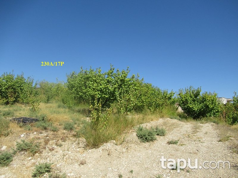 Mersin Hamam Mahallesi İskan Mevkii'nde 3780 m2 Tarla