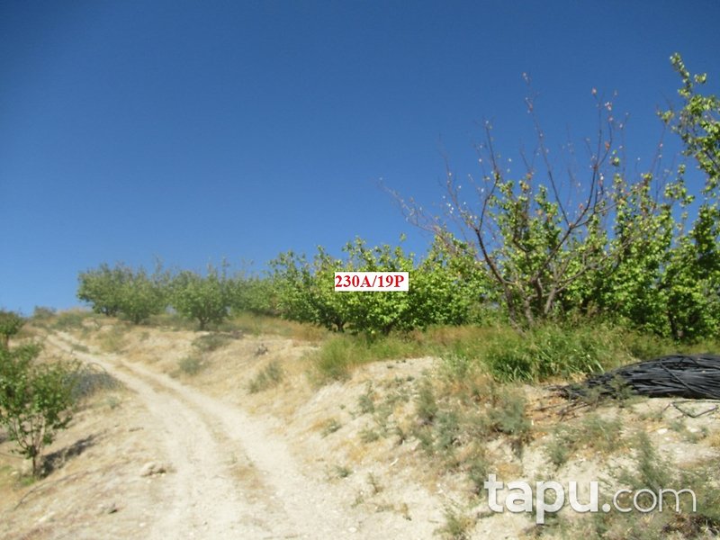 Mersin Hamam Mahallesi İskan Mevkii'nde 4 Dönüm Tarla