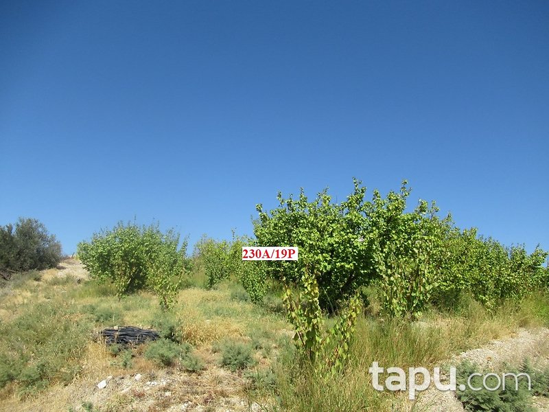 Mersin Hamam Mahallesi İskan Mevkii'nde 4 Dönüm Tarla