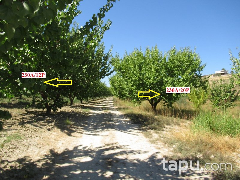 Mersin Hamam Mahallesi İskan Mevkii'nde 4 Dönüm Tarla