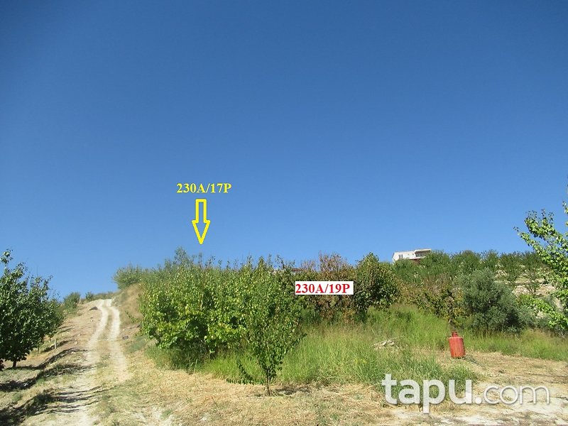 Mersin Hamam Mahallesi İskan Mevkii'nde 4 Dönüm Tarla