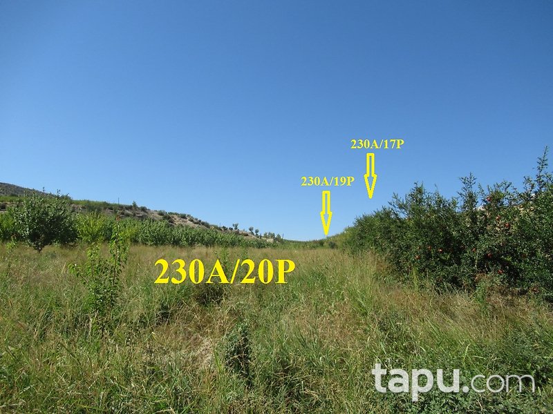 Mersin Hamam Mahallesi İskan Mevkii'nde 4 Dönüm Tarla