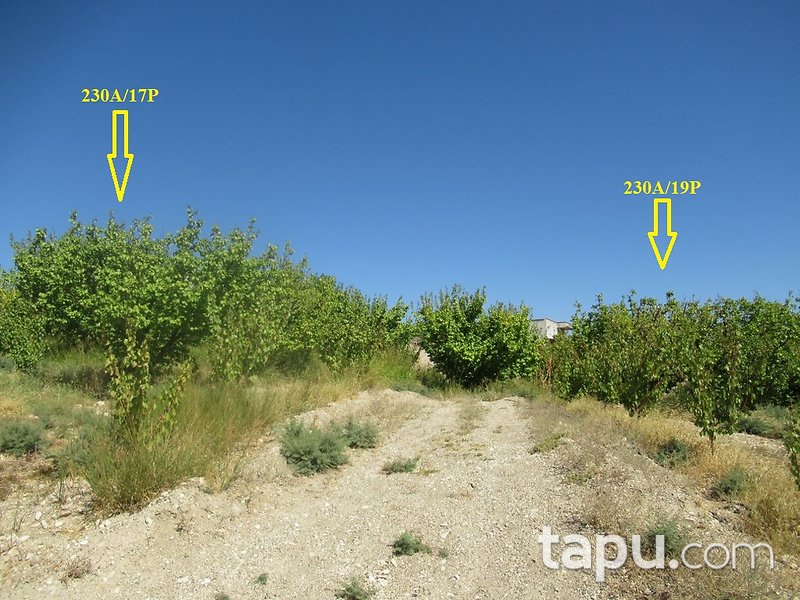 Mersin Hamam Mahallesi İskan Mevkii'nde 4 Dönüm Tarla