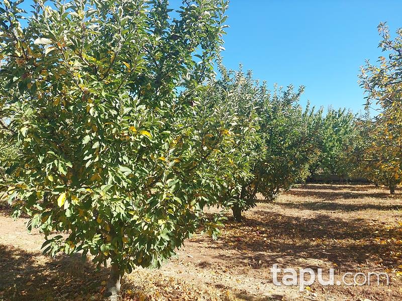 Isparta Kirlikkırı Mevkii'nde 1774 m2 Tarla