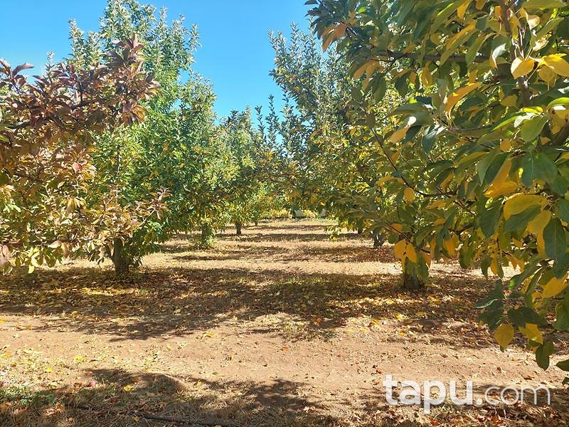 Isparta Kirlikkırı Mevkii'nde 1774 m2 Tarla