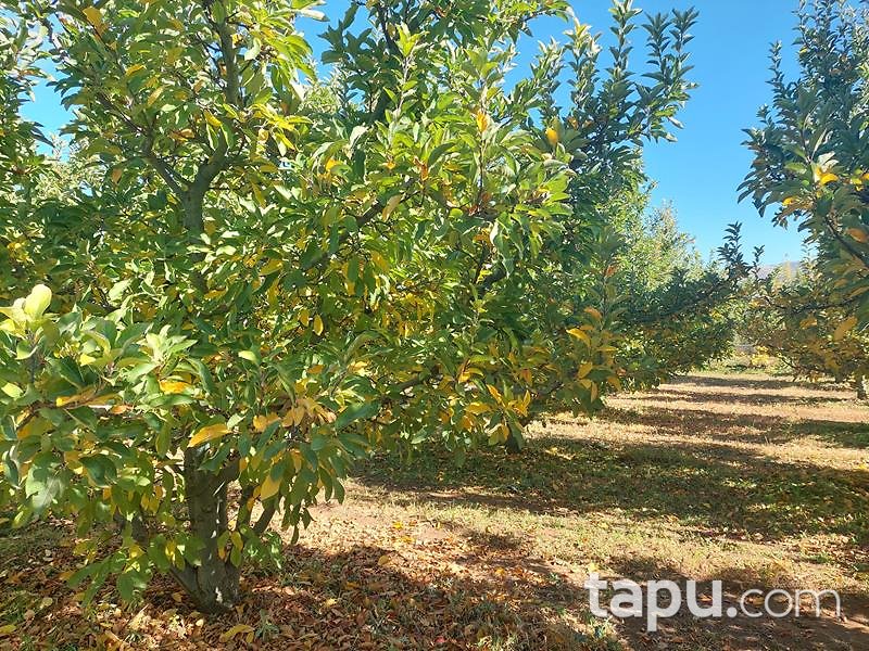 Isparta Kirlikkırı Mevkii'nde 1774 m2 Tarla