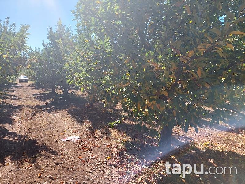 Isparta Kirlikkırı Mevkii'nde 1774 m2 Tarla