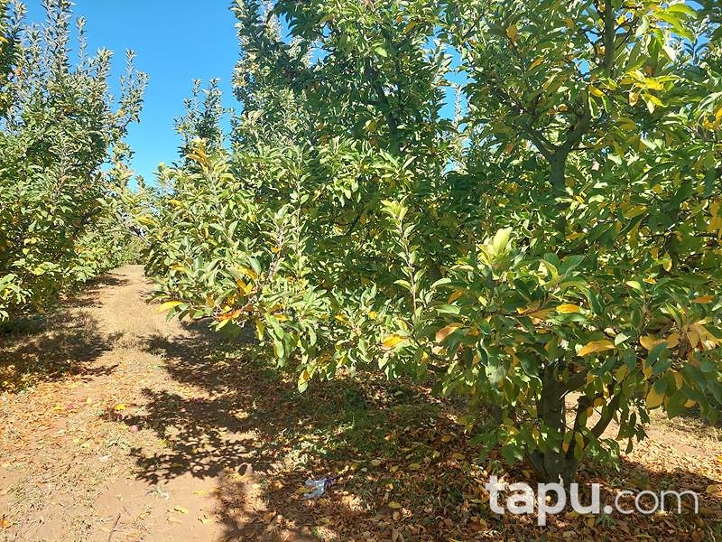 Isparta Kirlikkırı Mevkii'nde 1774 m2 Tarla