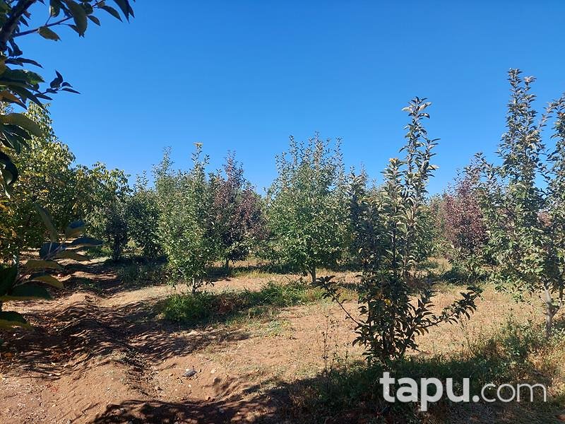 Isparta Kirlikkırı Mevkii'nde 1774 m2 Tarla