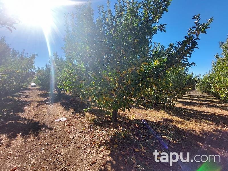 Isparta Kirlikkırı Mevkii'nde 1774 m2 Tarla