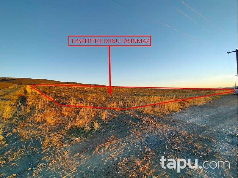 Ankara Gölbaşı'nda 5443 m2 Tarla