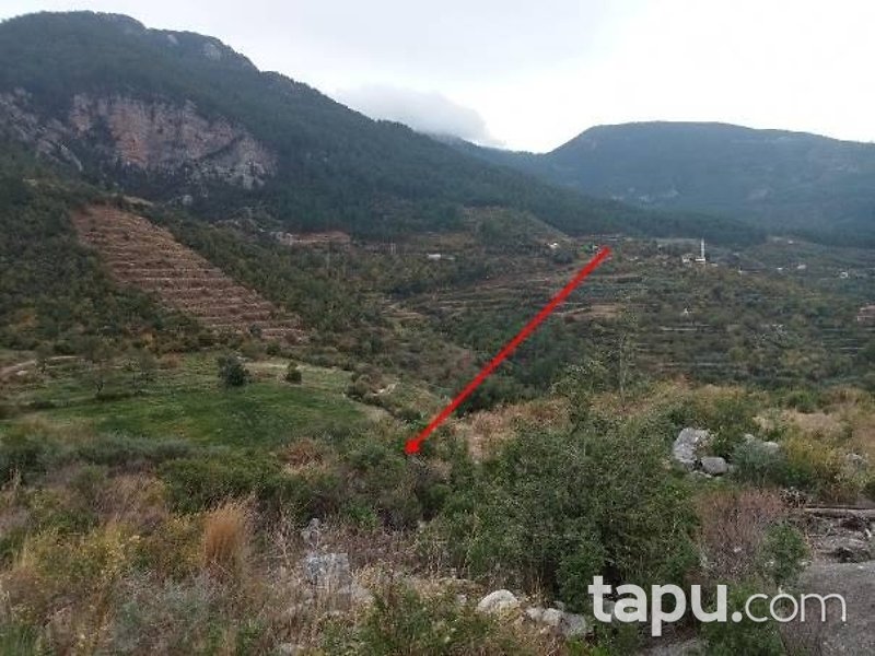 Doğanca Merkez'de Yola Cepheli 6095 m2 Hisseli Tarla