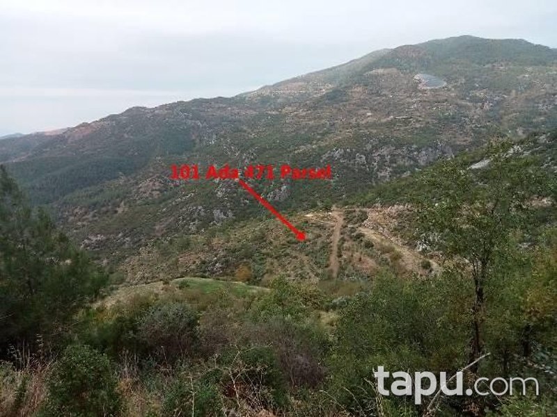 Doğanca Merkez'de Yola Cepheli 6095 m2 Hisseli Tarla