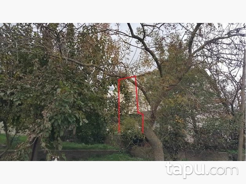 Şile Balibey Mahallesi'nde Hisseli 128 Dubleks Daire