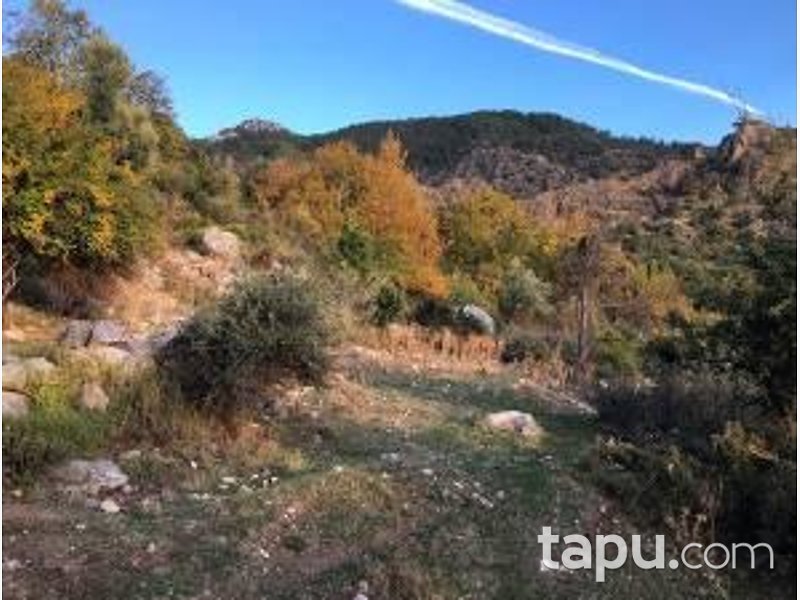 Antalya Kumluca Karaşar Mevkii'nde Hisseli 34371 m2 Tarla
