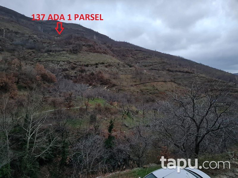 İzmir Ödemiş Demirdere Mahallesi'nde 9580 m2 Ceviz Bahçesi (1595)