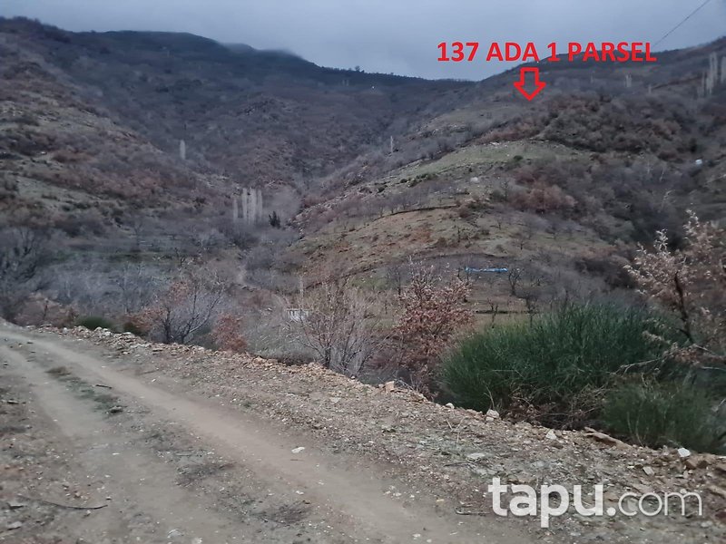 İzmir Ödemiş Demirdere Mahallesi'nde 9580 m2 Ceviz Bahçesi (1595)