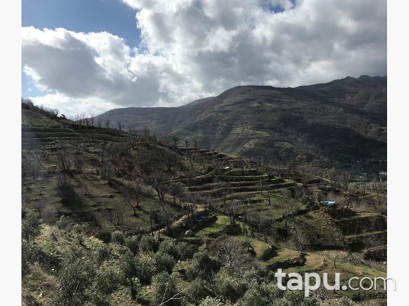 İzmir Ödemiş'te 11 Dönüm Tarla