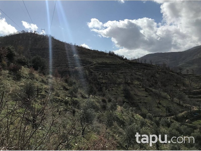 İzmir Ödemiş'te 11 Dönüm Tarla