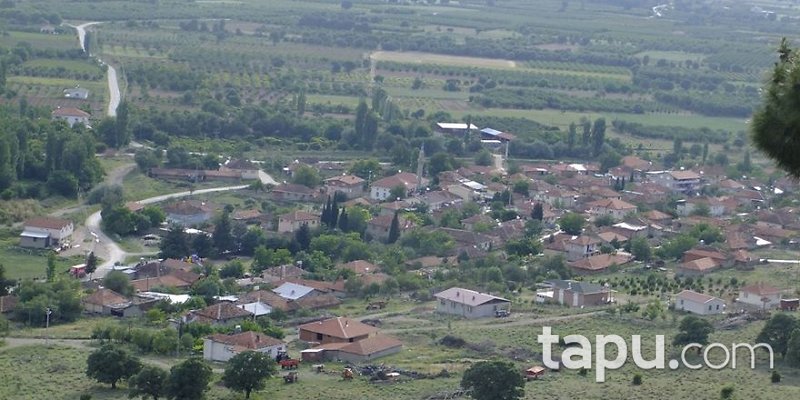 Denizli Çivril İmrallı Mahallesi'nde 11 Dönüm Tarla
