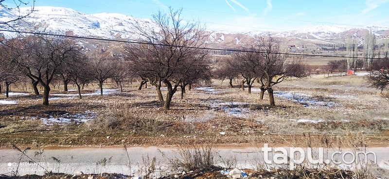 Malatya Kuluncak Çayköy Mahallesi'nde 9 Dönüm Bahçe