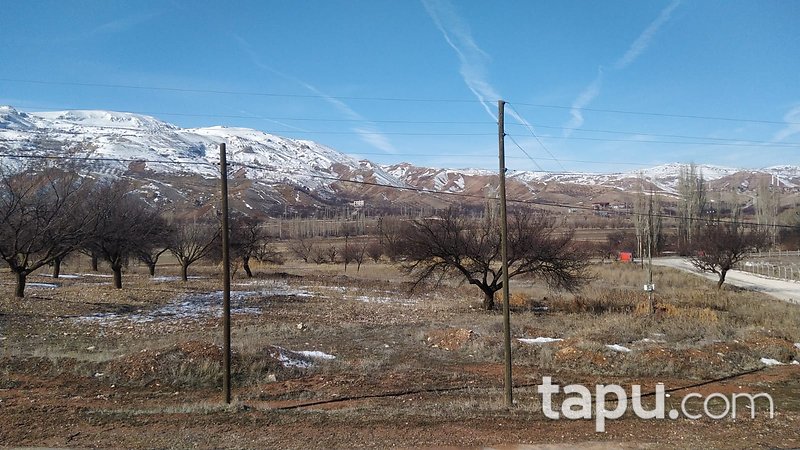 Malatya Kuluncak Çayköy Mahallesi'nde 9 Dönüm Bahçe