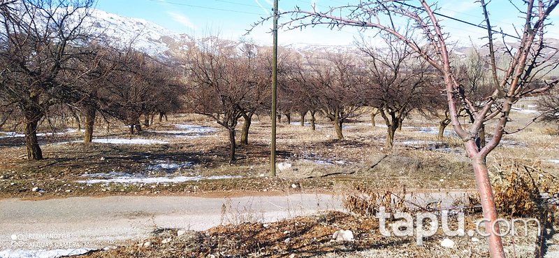Malatya Kuluncak Çayköy Mahallesi'nde 9 Dönüm Bahçe