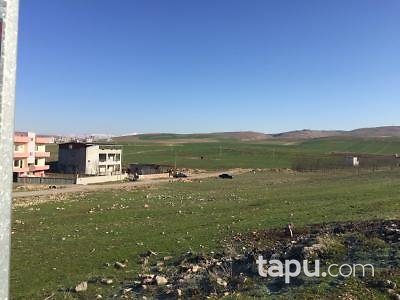 Siirt Kurtalan'da Köşe Konumlu Konut İmarlı Arsa