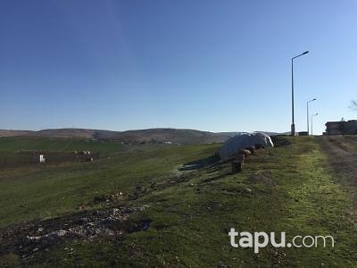 Siirt Kurtalan'da Köşe Konumlu Konut İmarlı Arsa