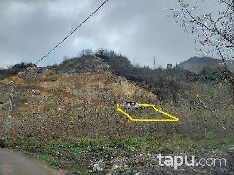 Trabzon İncesu Mahallesi'nde Müstakil Ev ve Fındık Bahçesi