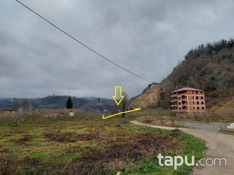 Trabzon İncesu Mahallesi'nde Müstakil Ev ve Fındık Bahçesi