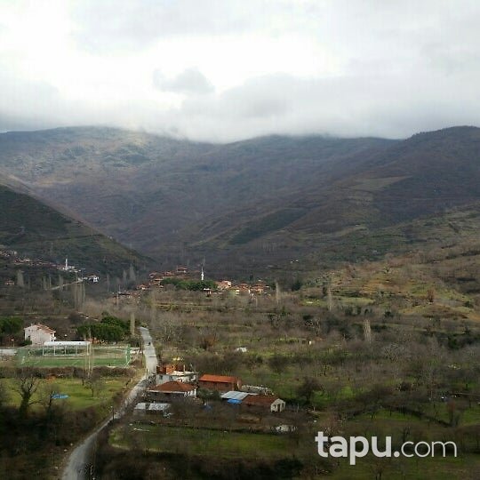 Ödemiş Demirdere Mahallesi'nde 2742 m2 Zeytin Bahçesi (1594)