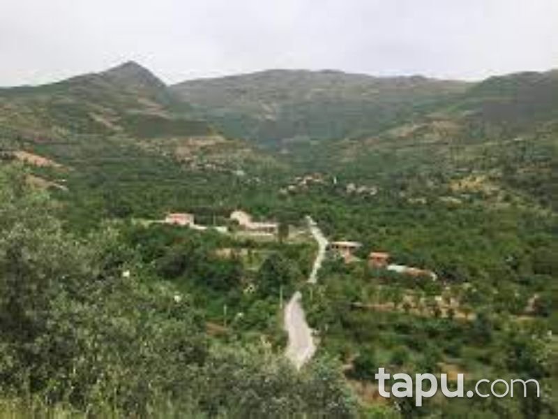 İzmir Ödemiş Demirdere Mahallesi'nde 9580 m2 Ceviz Bahçesi (1595)