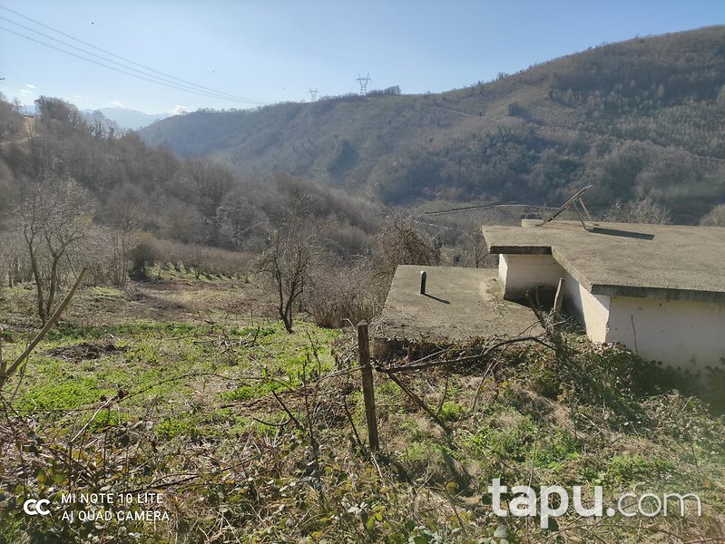Düzce Kozluk Köyü'nde Yola Cepheli 2 Dönüm Tarla