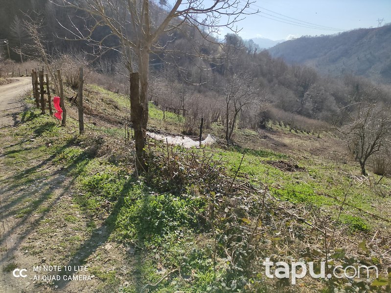 Düzce Kozluk Köyü'nde Yola Cepheli 2 Dönüm Tarla