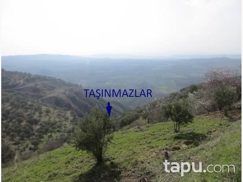 Hatay Keskincik Köyü'nde Yatırımlık 2 Adet Tarla