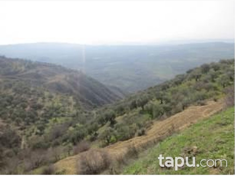 Hatay Keskincik Köyü'nde Yatırımlık 2 Adet Tarla