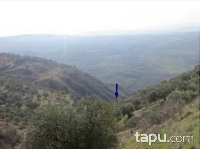 Hatay Keskincik Köyü'nde Yatırımlık 2 Adet Tarla