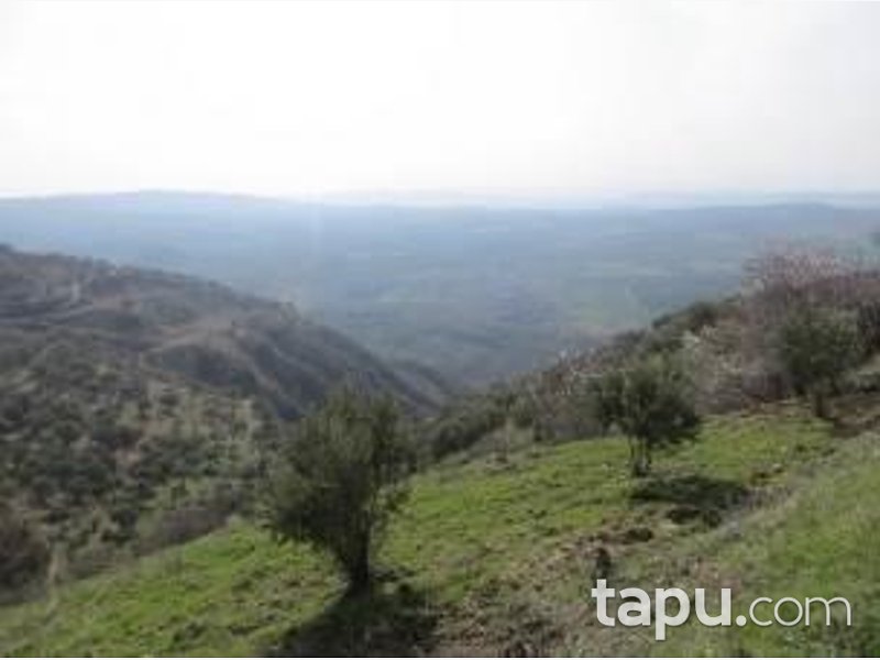 Hatay Keskincik Köyü'nde Yatırımlık 2 Adet Tarla