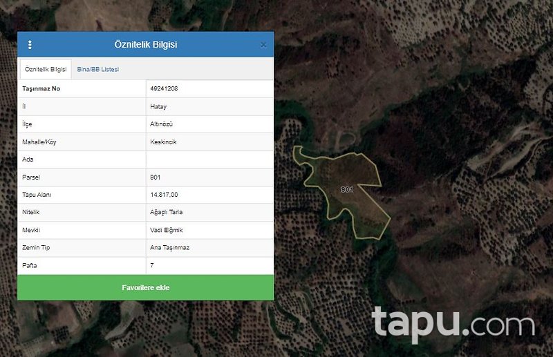 Hatay Keskincik Köyü'nde Yatırımlık 2 Adet Tarla