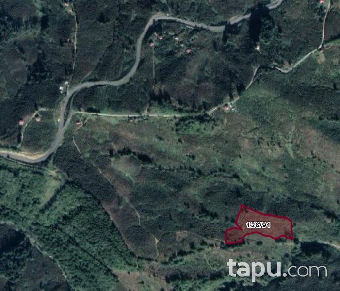 Sakarya Kocaali Açmabaşı Mahallesi'nde Kaçırılmayacak 16 Dönüm Fındık Bahçesi