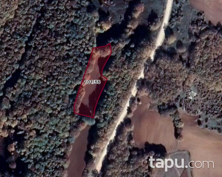 Balıkesir Susurluk Kiraz Köyü'nde 2800 m2 Kaçırılmayacak Fırsatta Tarla