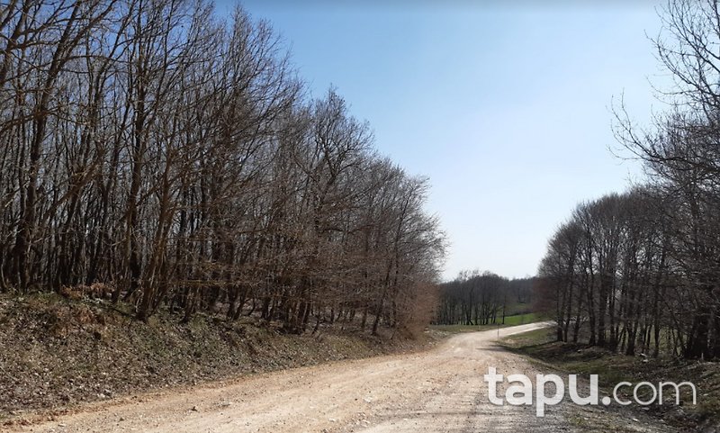 Balıkesir Susurluk Kiraz Köyü'nde 2800 m2 Kaçırılmayacak Fırsatta Tarla