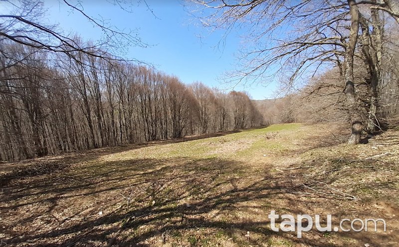 Balıkesir Susurluk Kiraz Köyü'nde 2800 m2 Kaçırılmayacak Fırsatta Tarla