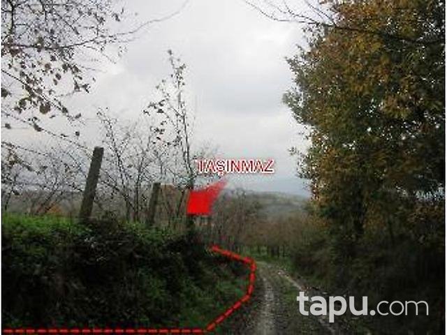 Sakarya Kocaali Gümüşoluk Mahallesinde 19706 m2 Bahçe ve Kargir Ev